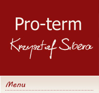 logo ogrzewanie Pro-term
